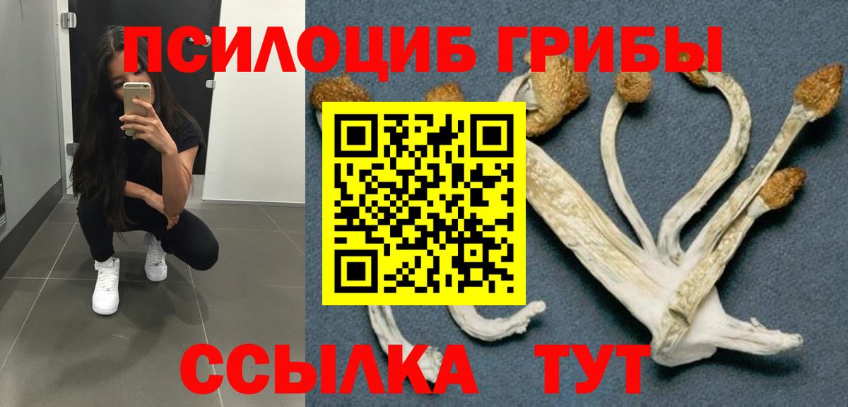 Псилоцибиновые грибы мухоморы  Псилоцибиновые грибы GOLDEN TEACHER  Ялуторовск  Вход с VPN 